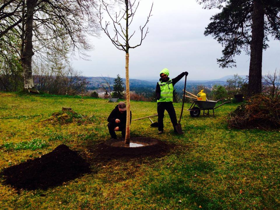 1017745_489649314468476_1662605877690758320_n