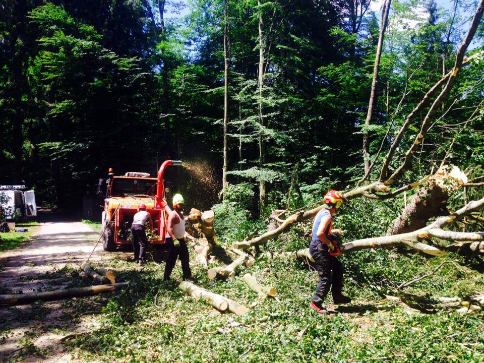 10439459_528386240594783_2704598864702957823_n