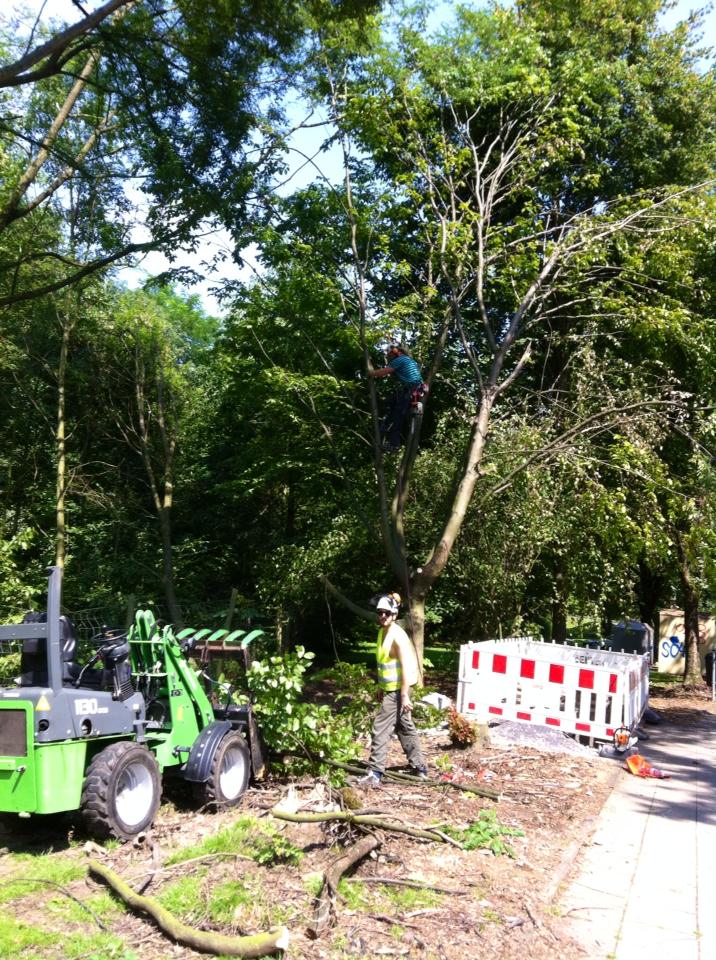 10540415_10204673362216724_5791541007094505124_n