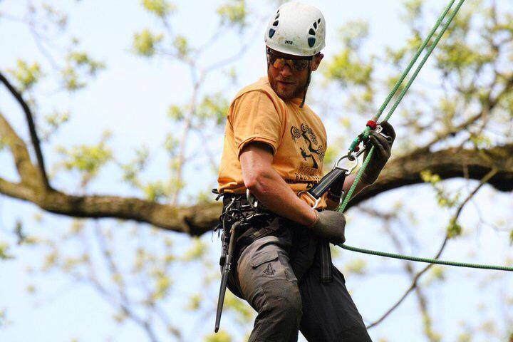 1457649_453784028055005_1573864935_n