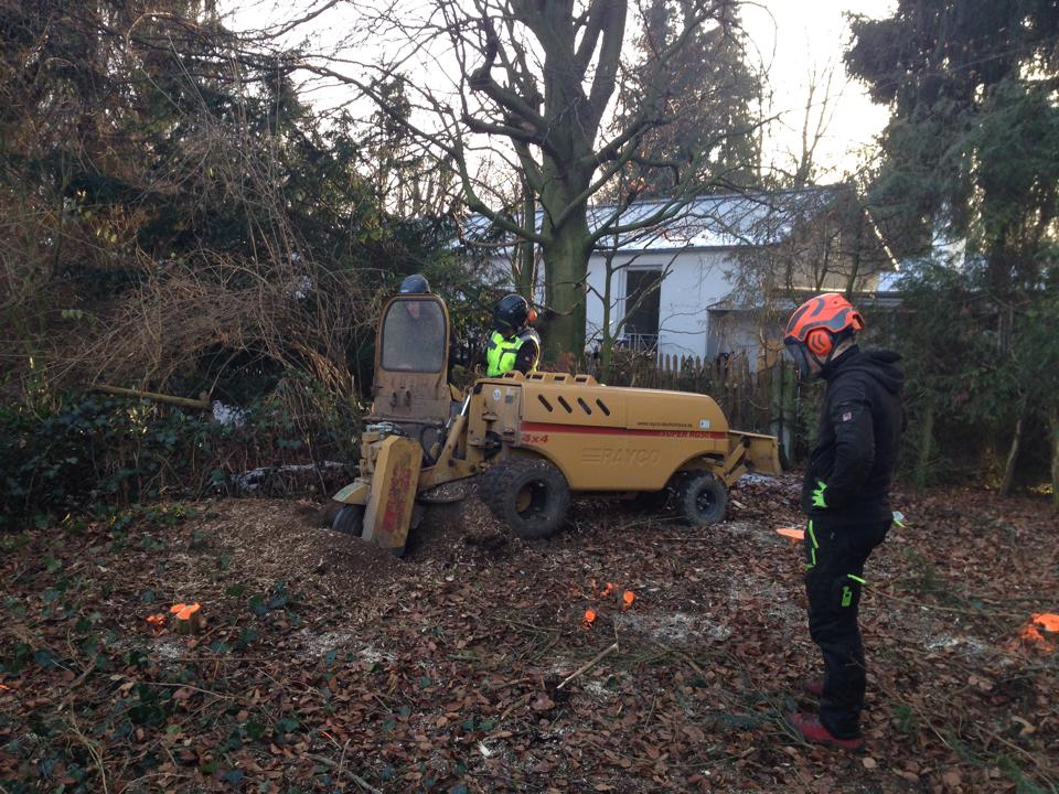 1560646_465022613597813_631207935_n