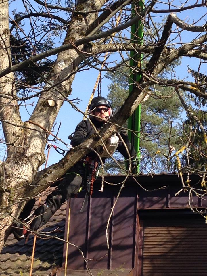 1653748_471204272979647_405912868_n