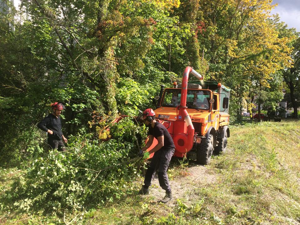 1924375_10204869287754740_4194290179577106156_n