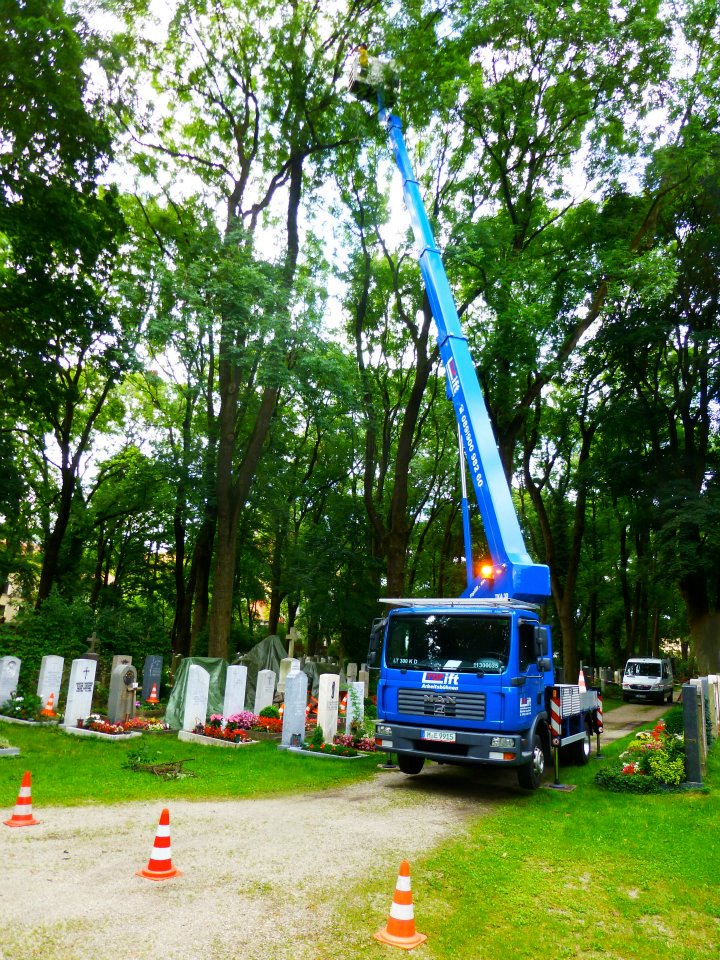 217667_387184231337583_2099029068_n