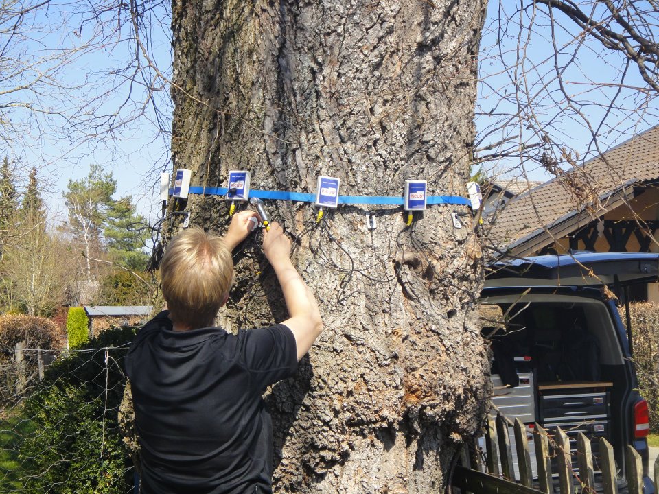 292578_254895754610501_1937609197_n