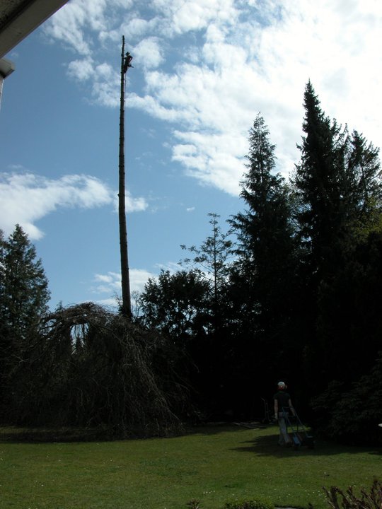 320240_113733652060046_3042485_n