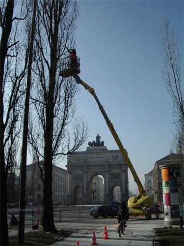 375_500_csupload_32625754