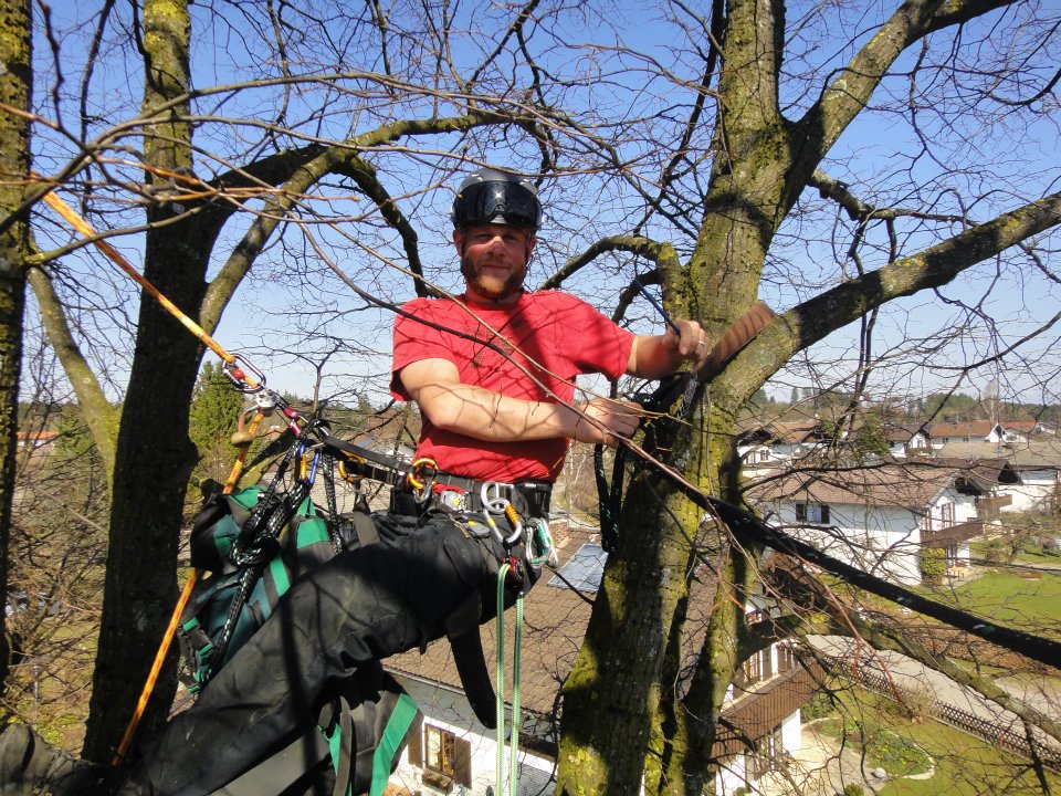 547233_254895944610482_1285367522_n