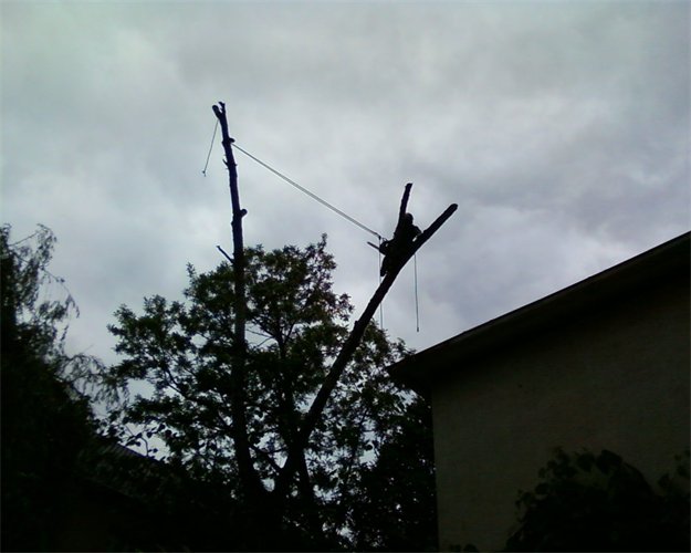 625_500_csupload_32660326