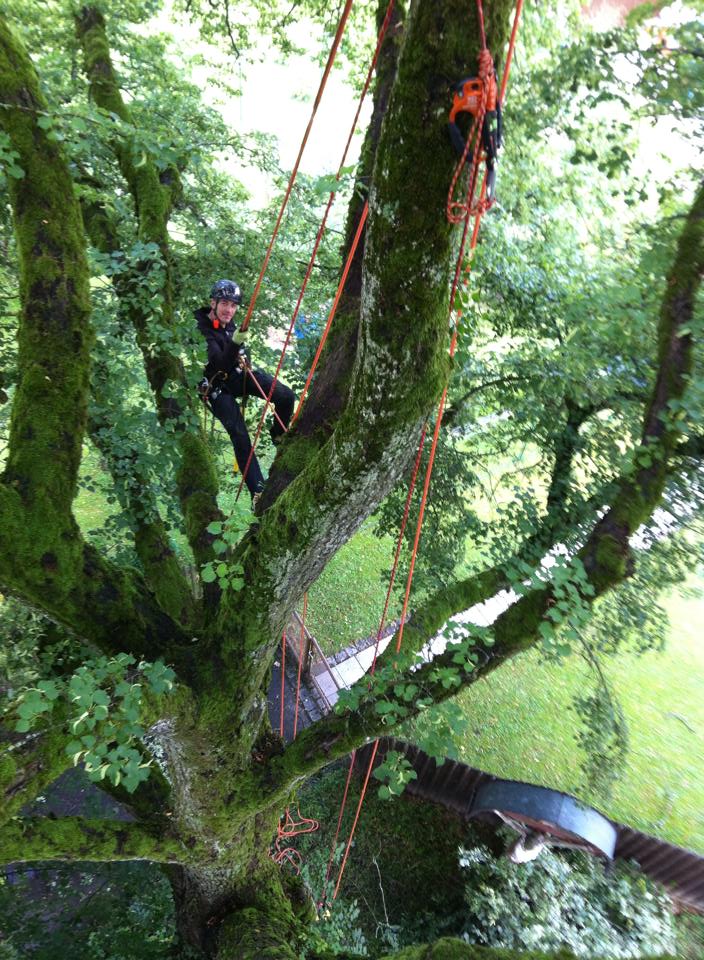 7352_10204684519295644_1841873740009345612_n