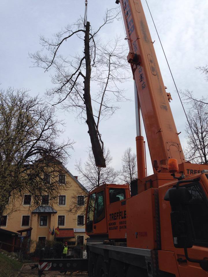 970952_482532735180134_1491680341_n